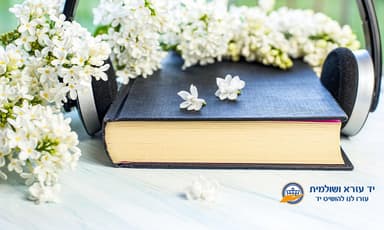 חכמים בלילה